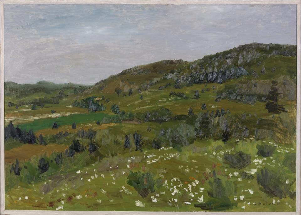 2007.005.001