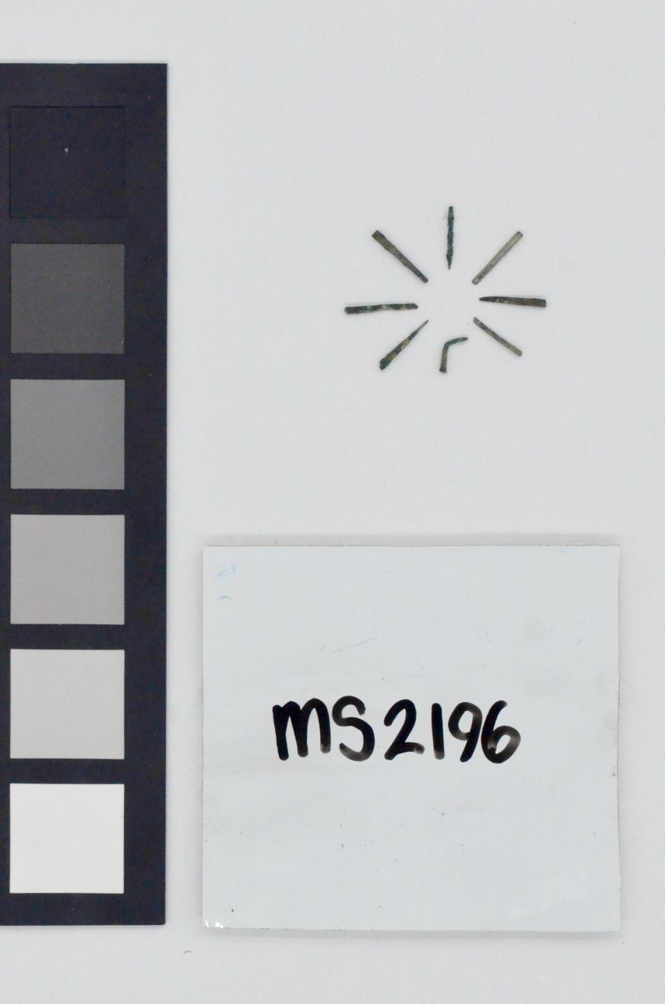 BbGc-88//2D63#MS2196